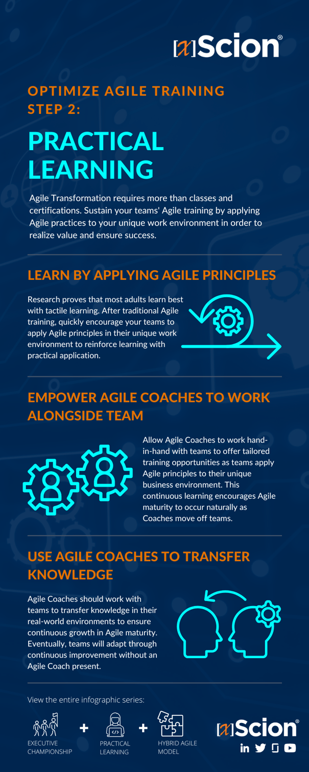 Optimize Agile Training with Practical Learning Infographic